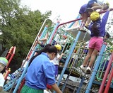 c2008668.jpg