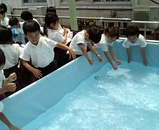 c5ca5e02.jpg