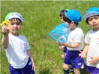 s-dc042013