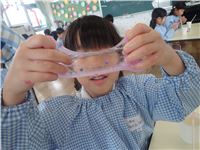 s-dc072434