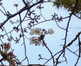 d0c83290.jpg