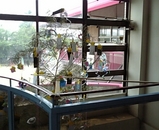 d74b2fda.jpg