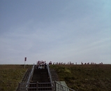 e373b36f.jpg