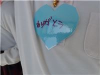 s-dc0314293