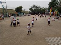 s-dc053101