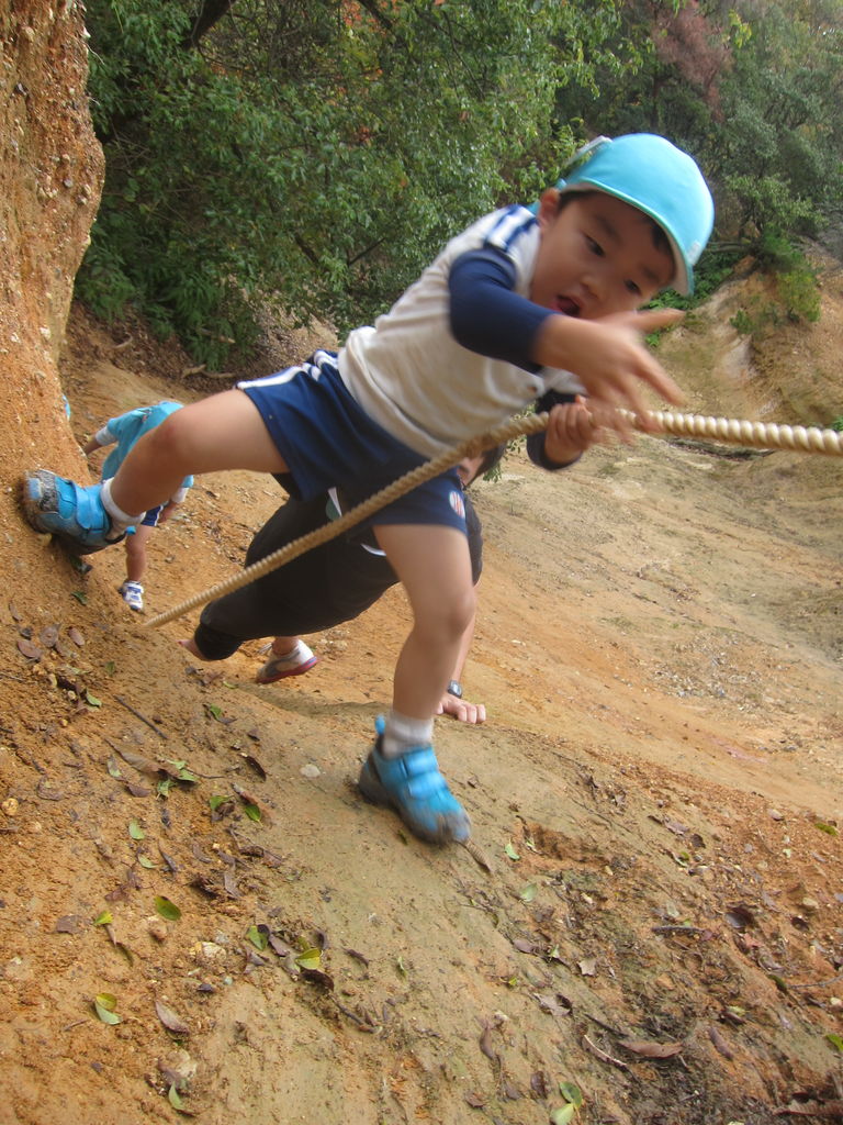 八事裏山すりばち崖 スタンツ通信 いきいき のびのび でっかい子