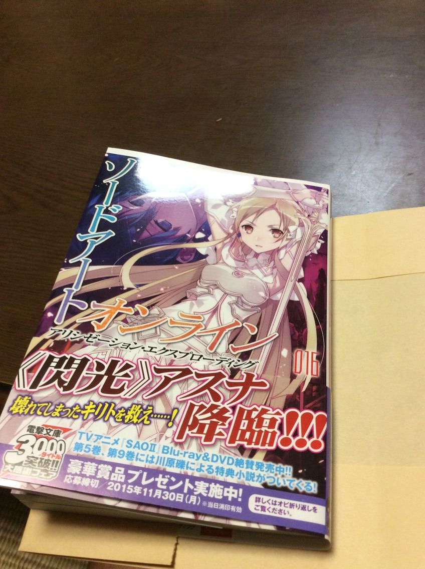 Sao16巻読んだ Greeeenファンの中学12年生が書く駄文 笑