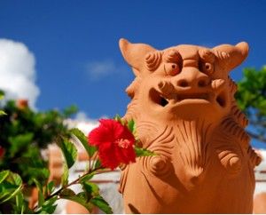 okinawa-300x242