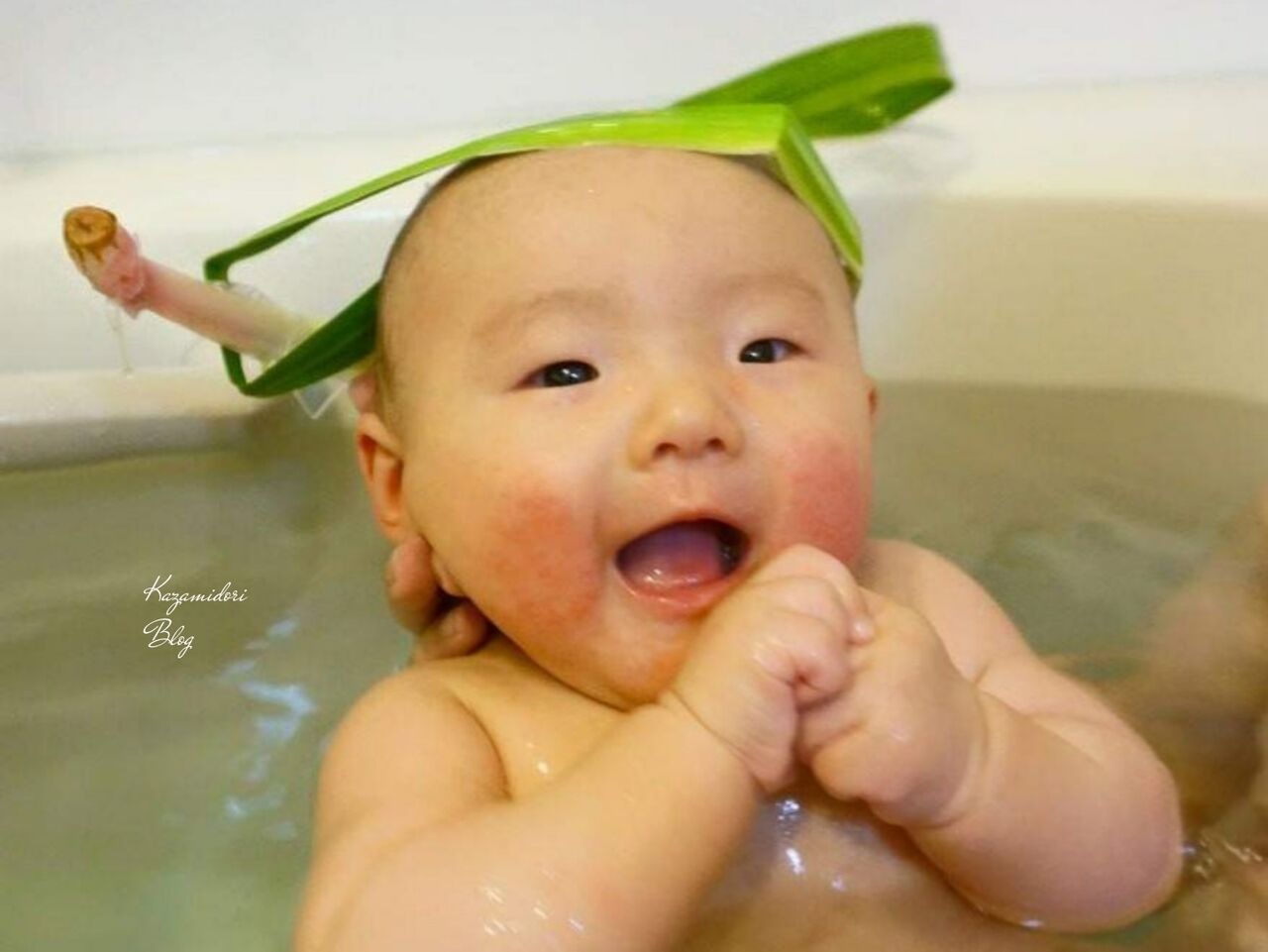 Stayhome週間 子どもの日 かざみどり Stayhome週間 子どもの日 かざみどり