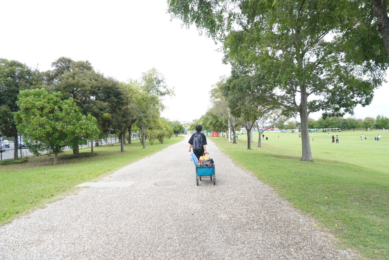 Gotoで行く子連れ淡路島 何度でも行きたい淡路島国営明石海峡公園 かざみどり Gotoで行く子連れ淡路島 何度でも行きたい淡路島国営明石海峡公園 かざみどり