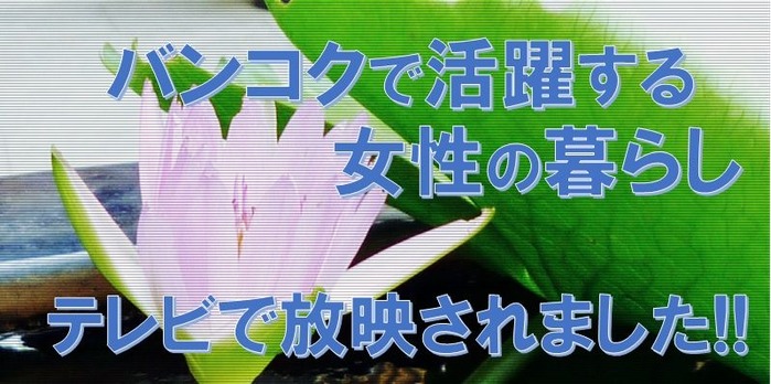 TVinformation