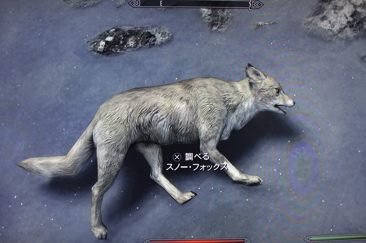 スノー フォックス The Elder Scrolls Iv V Skyrim 攻略 人物紹介