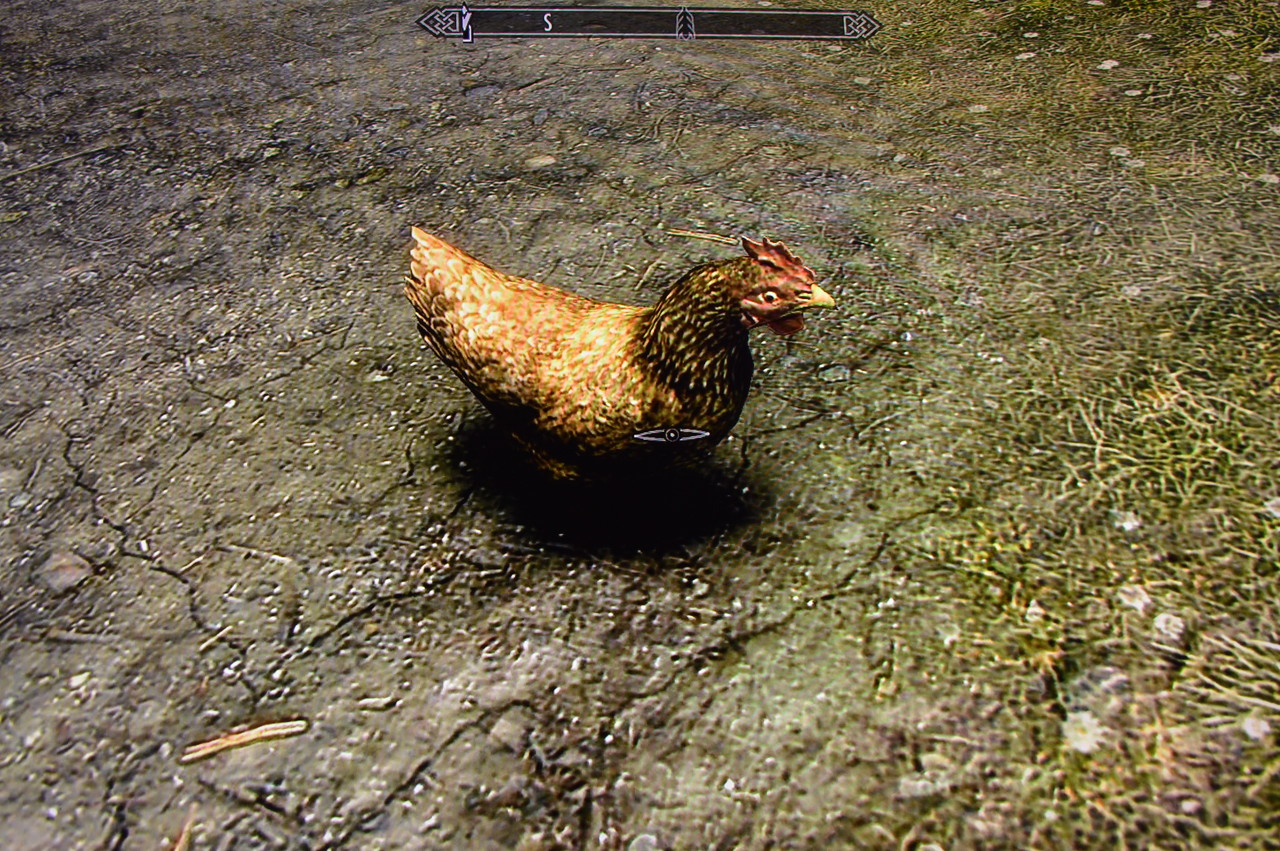 鶏 The Elder Scrolls Iv V Skyrim 攻略 人物紹介