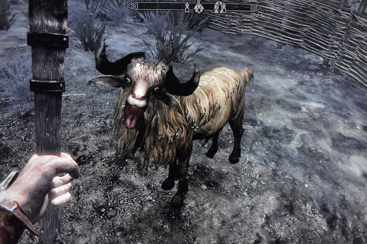 ヤギ The Elder Scrolls Iv V Skyrim 攻略 人物紹介 ヤギ The Elder Scrolls Iv V Skyrim 攻略 人物紹介