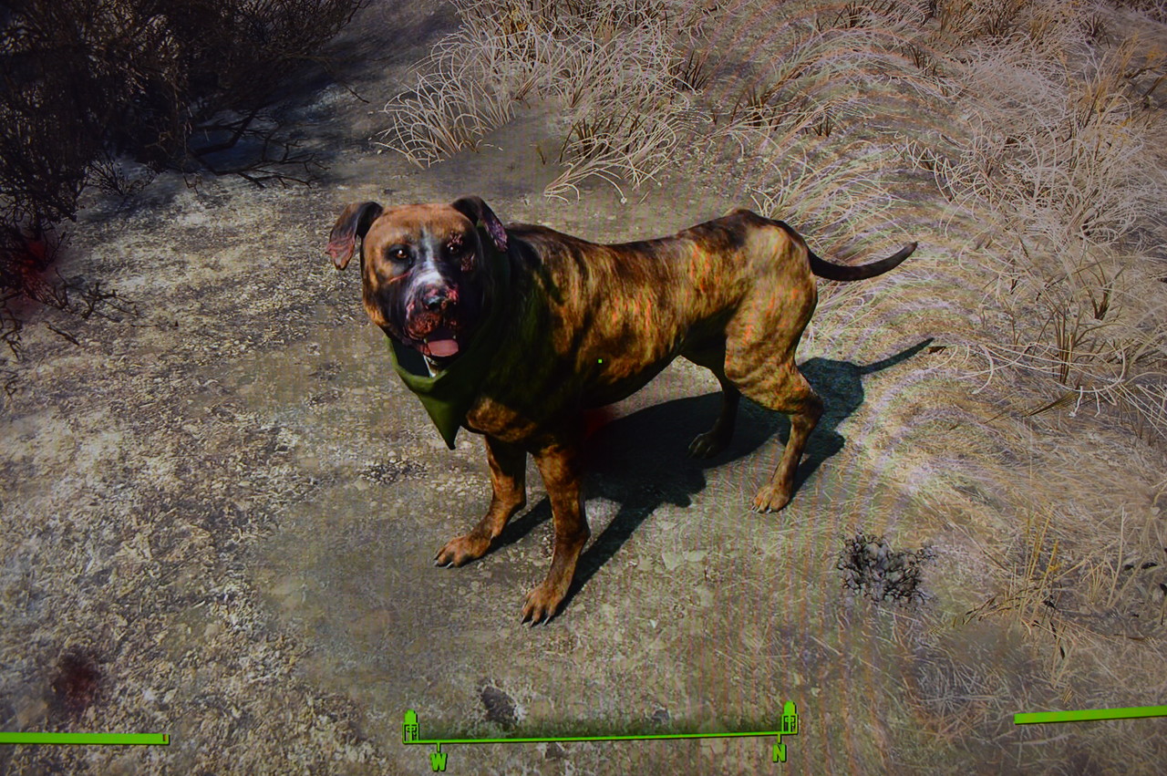 ジャンクヤードの犬 Falloutシリーズ攻略 人物紹介
