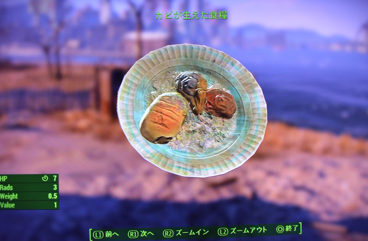 カビが生えた食糧 Falloutシリーズ攻略 人物紹介