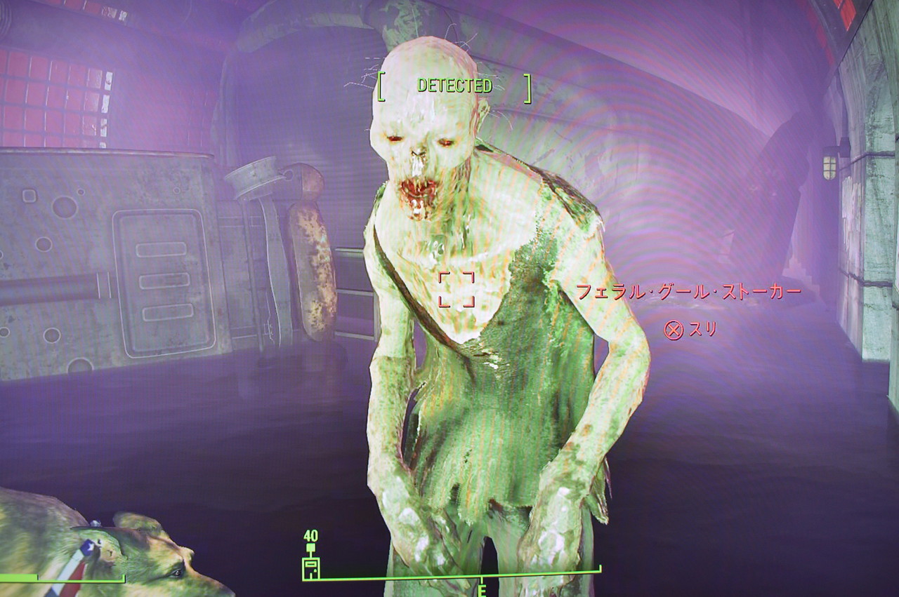 フェラル グール ストーカー Falloutシリーズ攻略 人物紹介 フェラル グール ストーカー Falloutシリーズ攻略 人物紹介