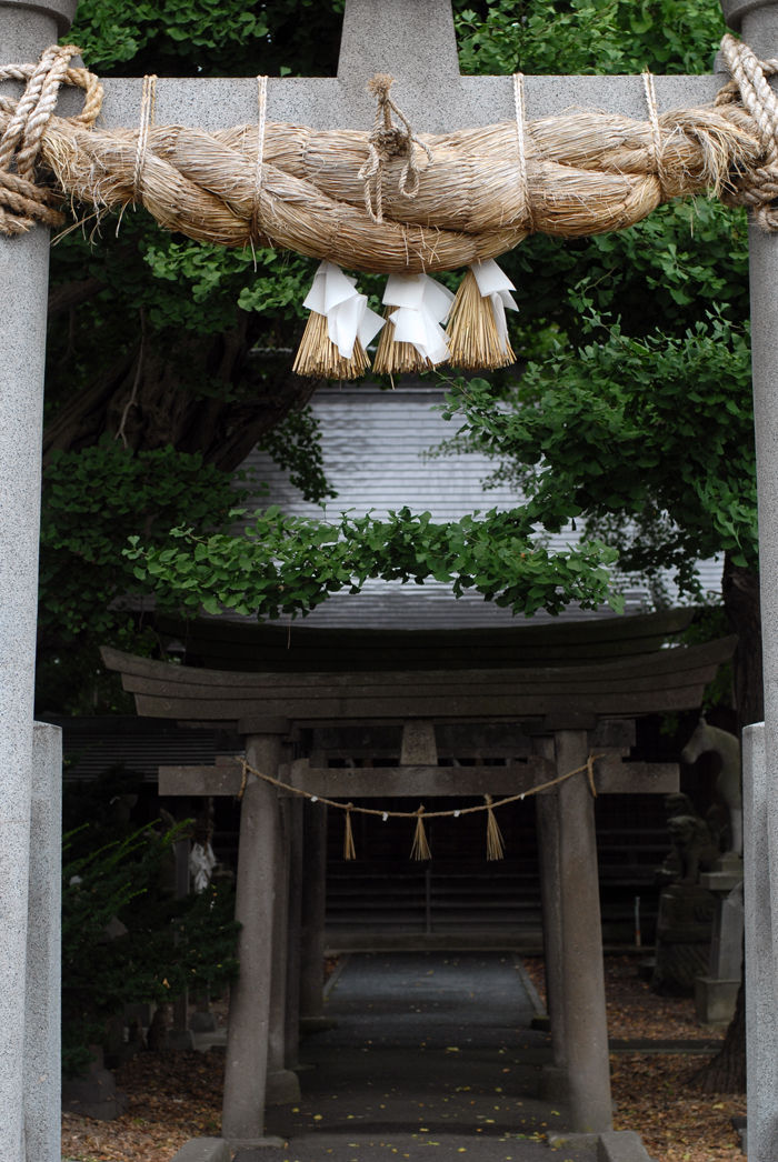 諏訪神社 青森県弘前市向外瀬 Suwa Dijital Archive 諏訪神社 青森県弘前市向外瀬 Suwa Dijital Archive