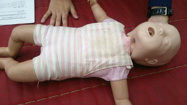 ウチのコ365days 雑記