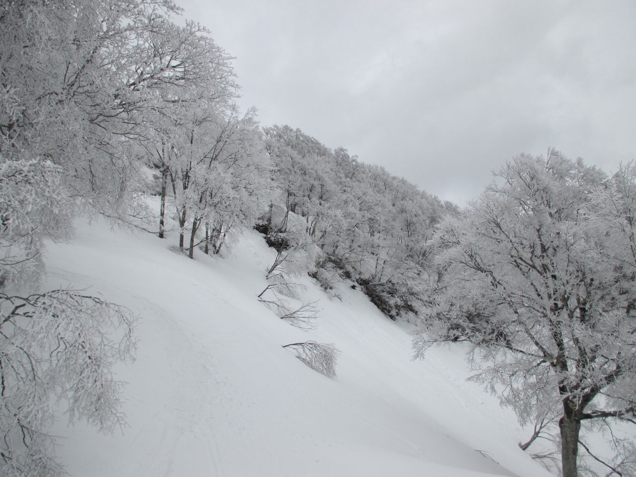 日々是好日





カテゴリ：
山スキー

イグルー泊で守門大岳〜中津又岳イグルー泊で守門大岳〜中津又岳放山（1189.5ｍ）鍋倉山（1289ｍ）行くぞ東北 Ψ郢骸禿森〜湯殿山スキー場行くぞ東北 姥ヶ岳周遊行くぞ東北 姥ヶ岳〜湯殿山雪融けと追っかけっこ＠鍋倉山行くぞ東北Ｄ諒害 蔵王権現（Ｐ1480ｍ）信州黒姫山＠しらたま平まで                じゅんこ