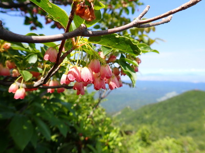 P6110048