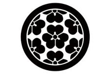 13087875_504327653074452_1348892914869263462_n