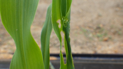 RIMG0429