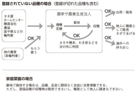 種苗法②