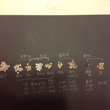10806232_360119450828607_6084893108536900638_n