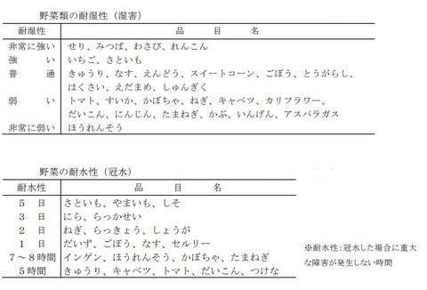野菜類の耐水性
