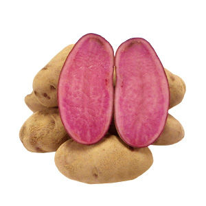 goods_5456_1