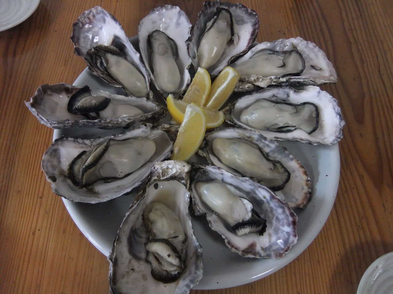 赤穂の牡蠣 観光 しおさい市場で きゃ きゃ 前編 のほほん すずらんの気まぐれ日記