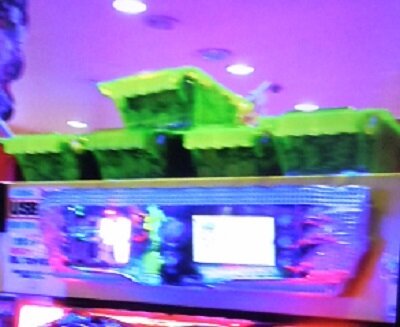 DSCN2655