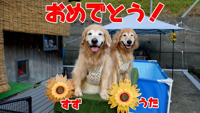 d7189feb-f56b-4e02-8479-a0109692f880_R