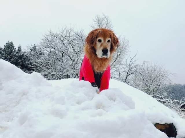 216e1f72-eaab-4b1a-905d-e43d49d4b001