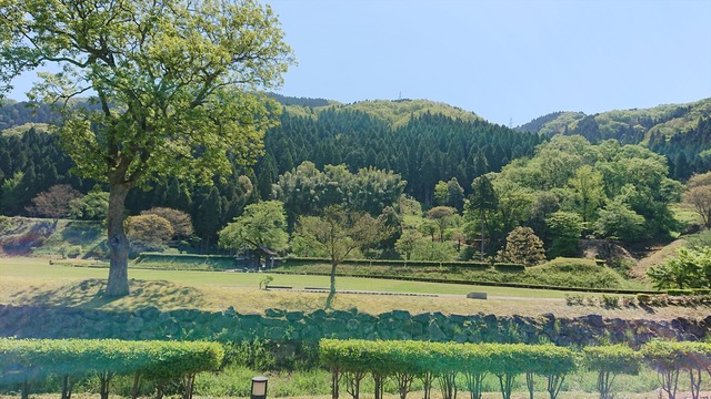 DSC_1105_R