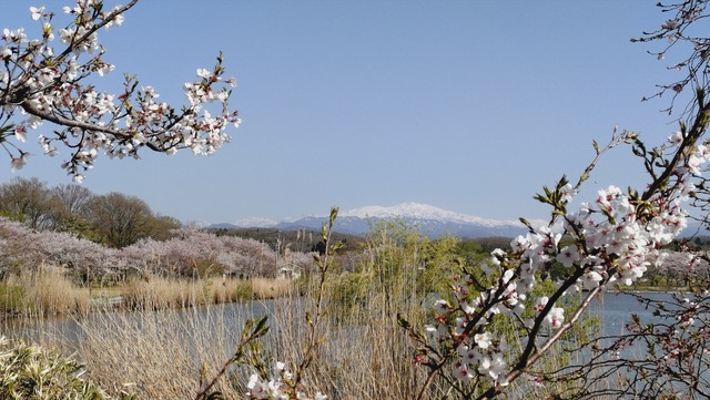 20260408_150353441_R