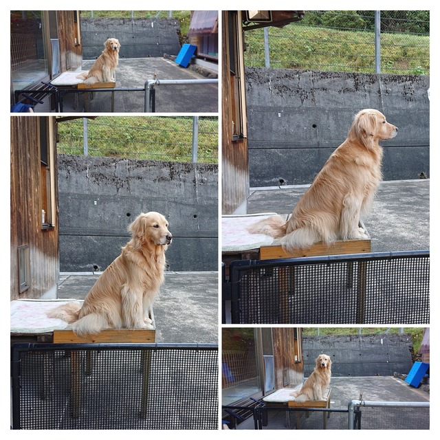 DSC_1247-COLLAGE