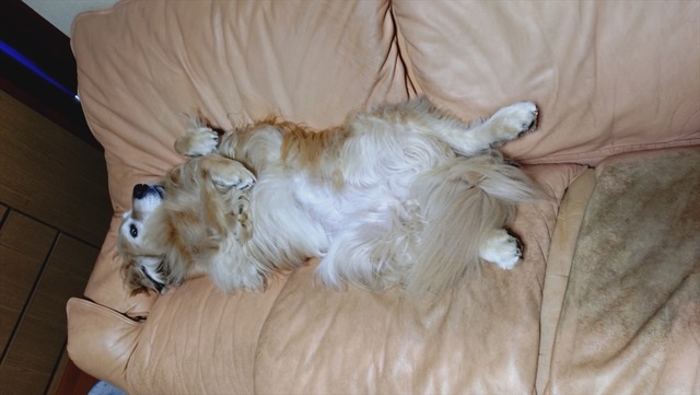 20251208_204933018_R