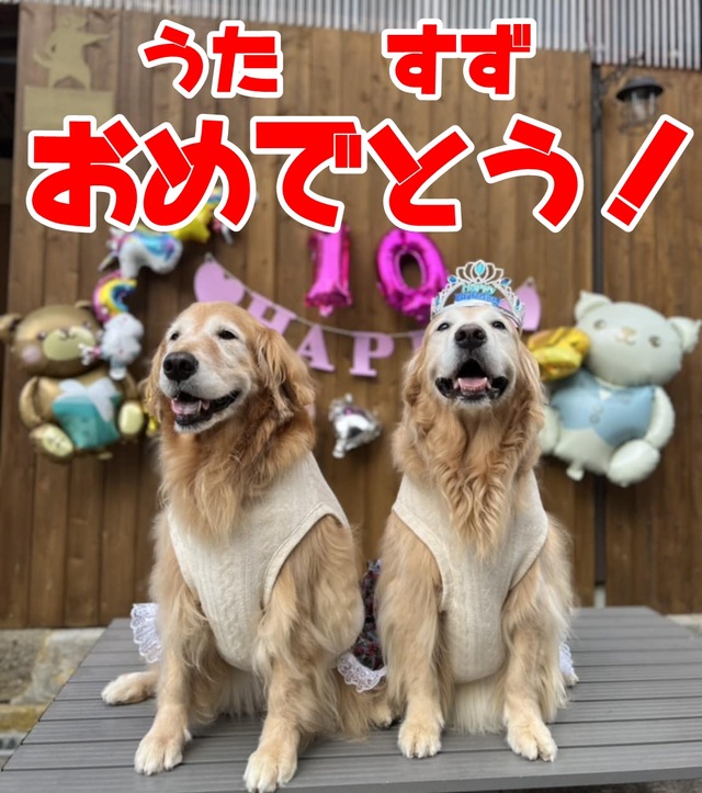 59c1ece3-709c-46c5-bfa6-f1cc3c6437ae