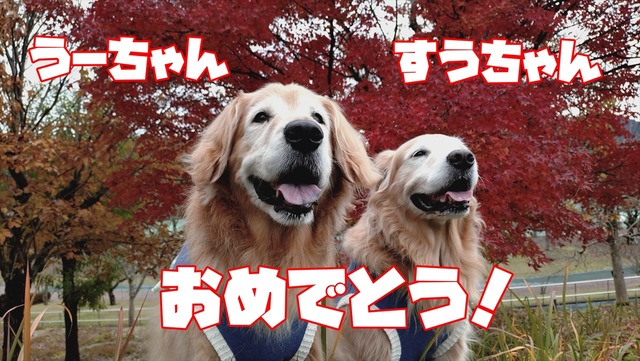 20251122_153838131_R