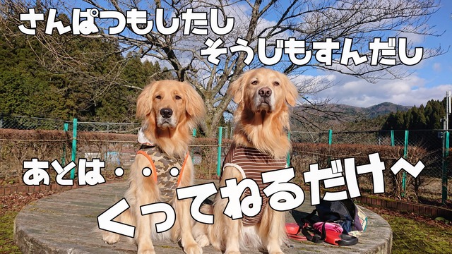 received_617898175629339