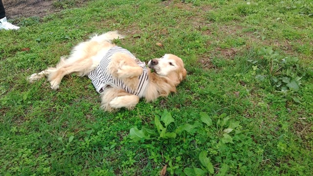 KIMG0772_02_BURST1000772_R