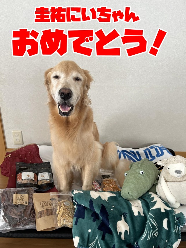 f6d1a493-3aca-43a8-b3ae-d57943dc6a8e