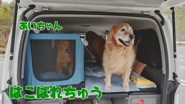 20260420_135057607_R