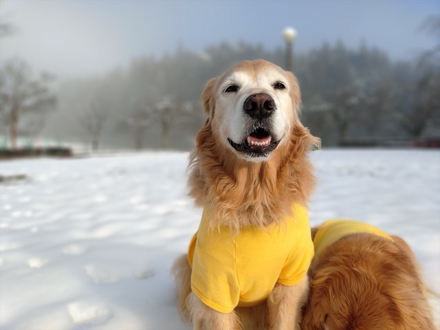 20251228_090909055_R