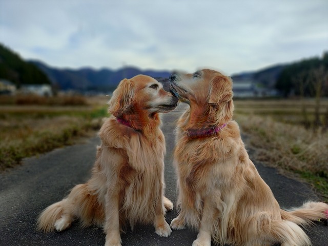 20251223_152730452_R