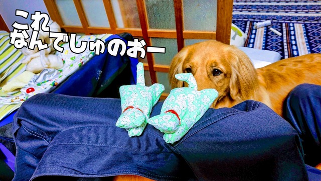 EFFECTS (1)_R