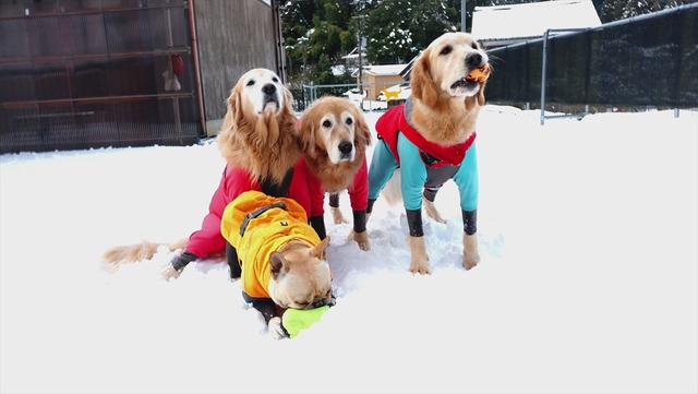 20260103_135335647_R