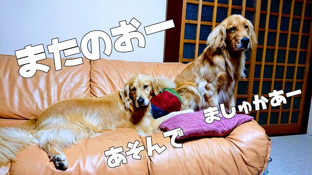 EFFECTS (1)_R